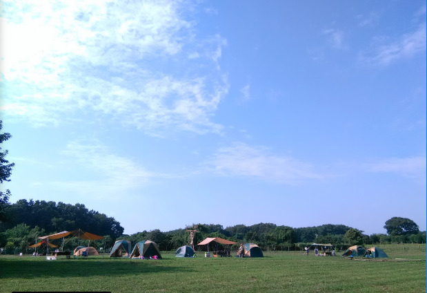 公園　ひよどり山キャンプ場（公園）まで316m