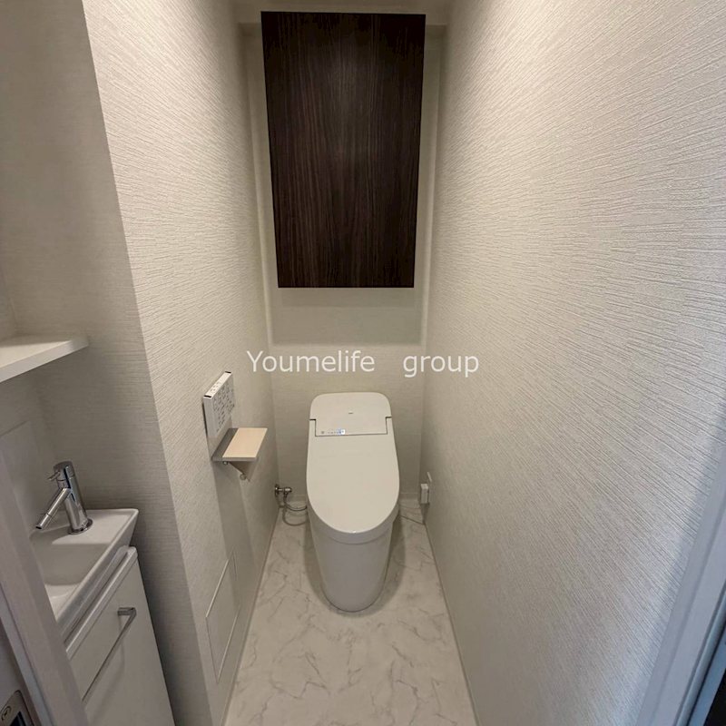 デュオステージ海老名IIのトイレ写真