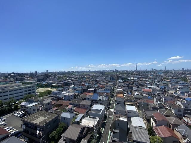 眺望