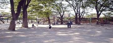 公園　関根文化公園（公園）まで536m