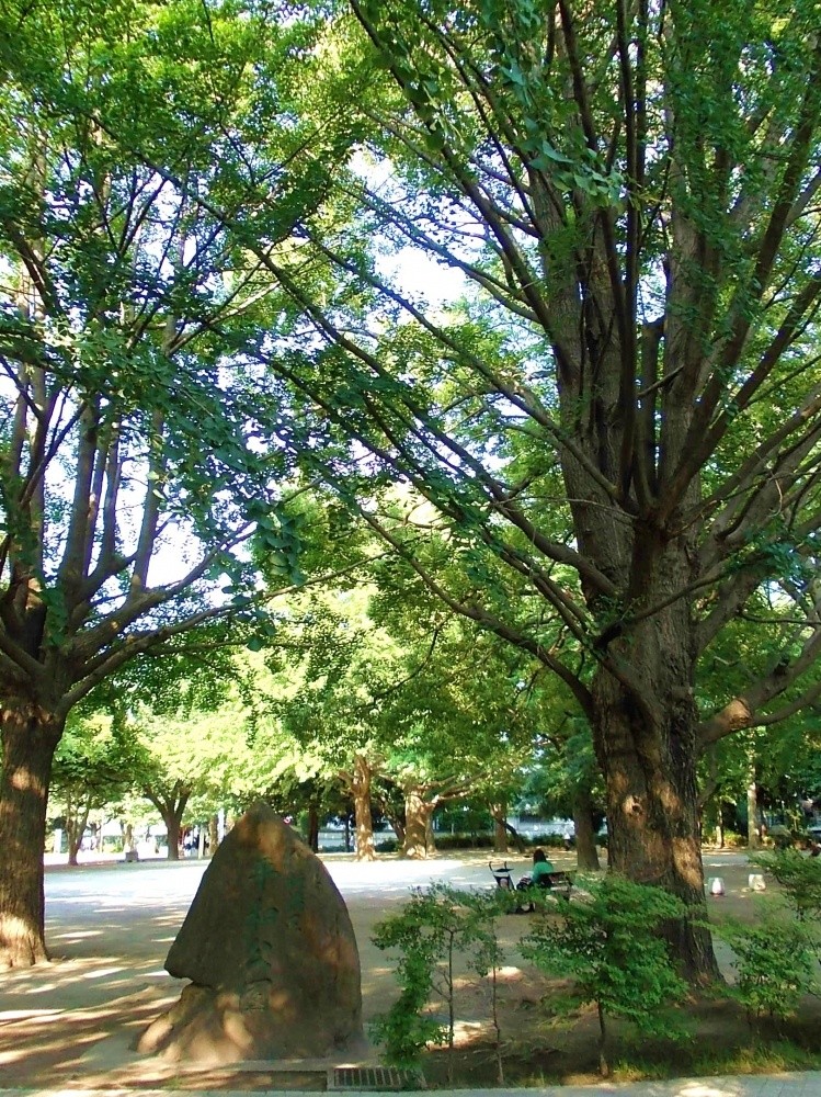 公園　板橋区平和公園（公園）まで945m