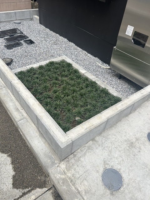 その他　植栽★