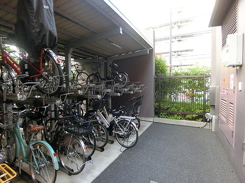 その他　駐輪場　2026年6月撮影の駐輪