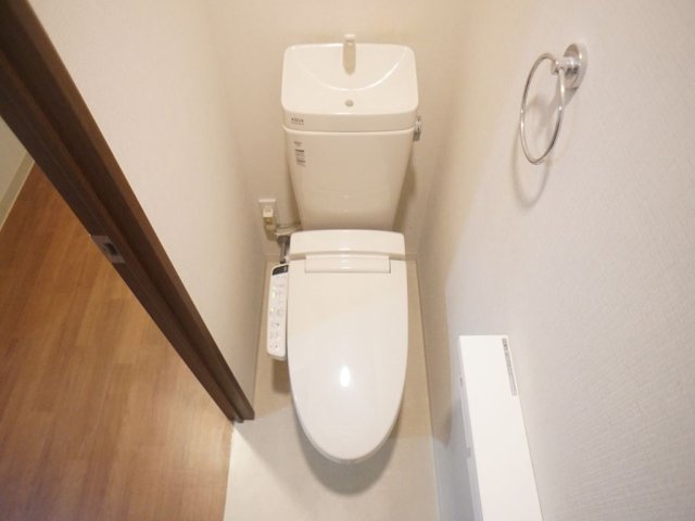 田畑ハイツルシアスIのトイレ写真