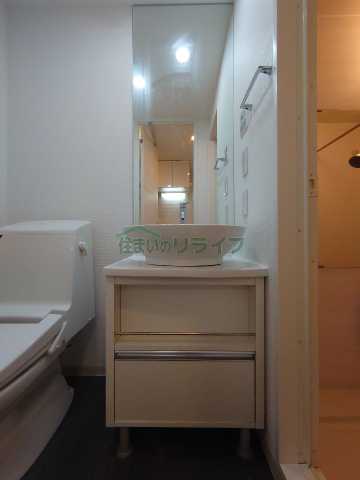 洗面設備　別部屋参考写真となります。