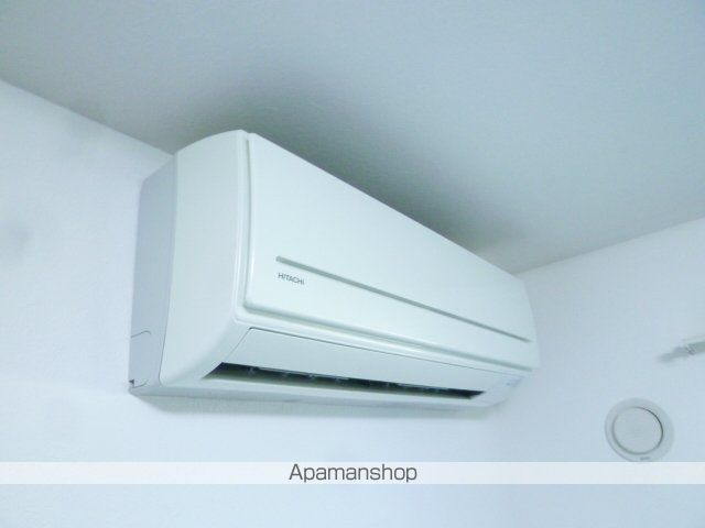 ミネルヴァのその他写真