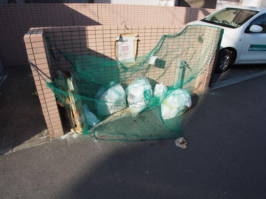サンルピナスのその他写真