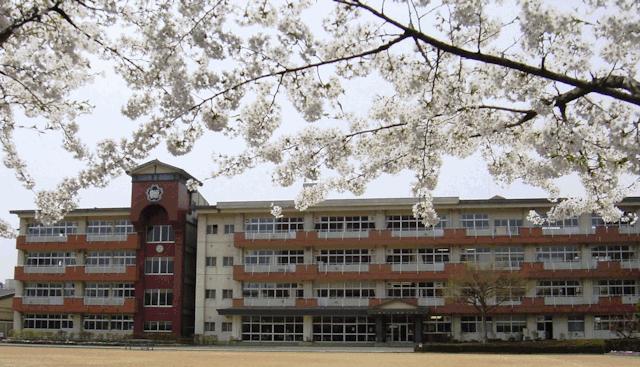 小学校　桜城小学校（小学校）まで1146m