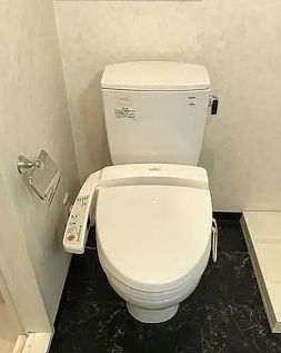 トイレ　参考写真：別部屋タイプ