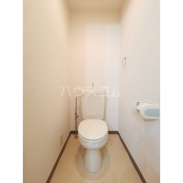 グレイスコート元郷のトイレ写真