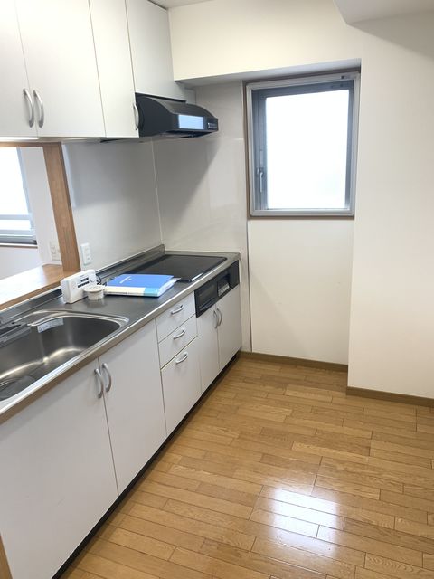 妙高市朝日町特定公共賃貸住宅のキッチン写真