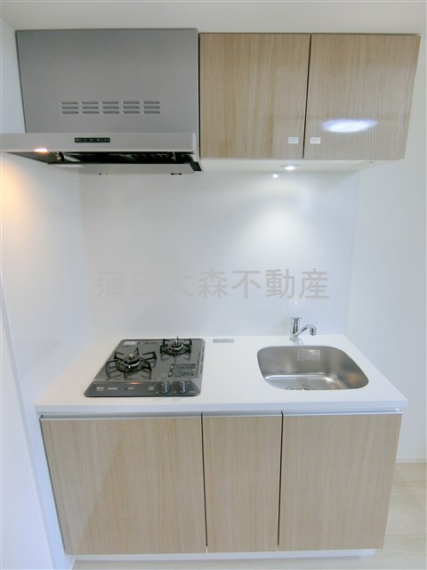 キッチン　2口ガスシステムキッチン