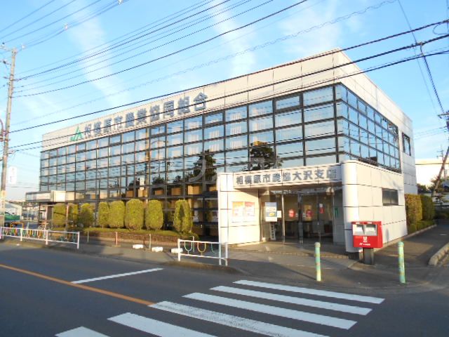 銀行　相模原市農協大沢支店（銀行）まで356m