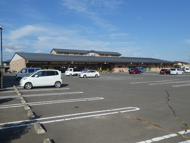 MIKOTOVI_その他_6