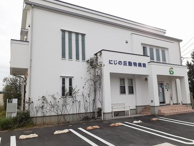 その他　にじの丘動物病院（その他）まで800m
