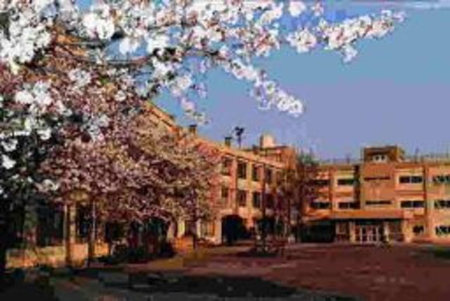 中学校　稲城市立稲城第一中学校（中学校）まで730m