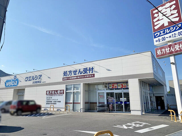ドラックストア　ウェルシア（ドラッグストア）まで1185m