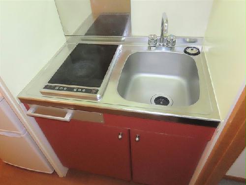 キッチン　2口の電気コンロまたはIHコンロとなります