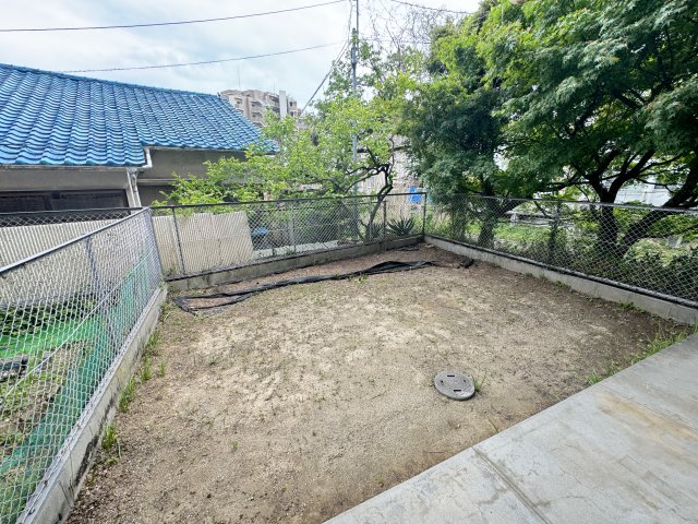 庭