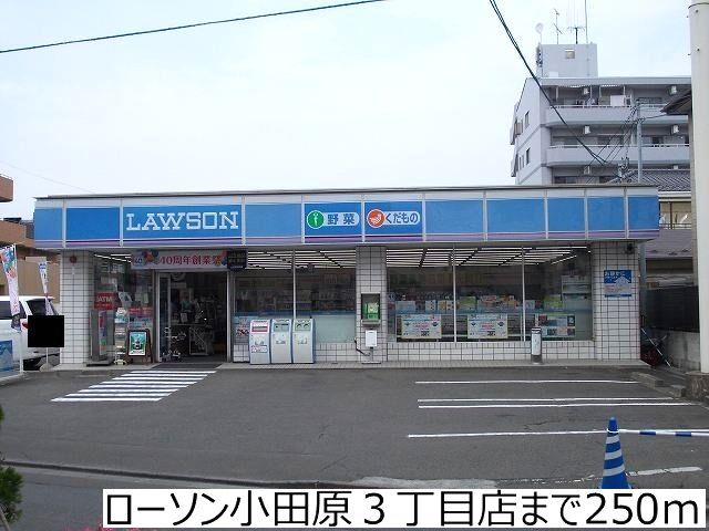 コンビニ　ローソン小田原３丁目店（コンビニ）まで250m