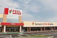 その他　フィール富田店（その他）まで729m