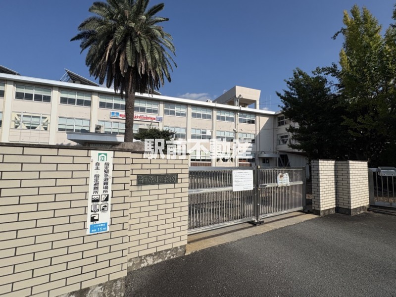 小学校　平原小学校（小学校）まで900m