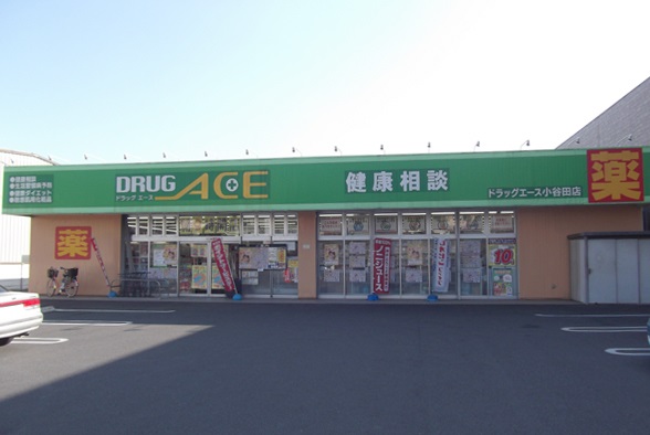 ドラックストア　ドラッグ・エース小谷田店（ドラッグストア）まで719m