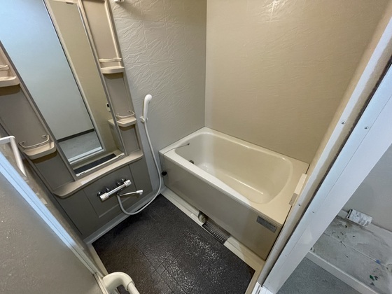 バス・シャワールーム　※別部屋の写真です