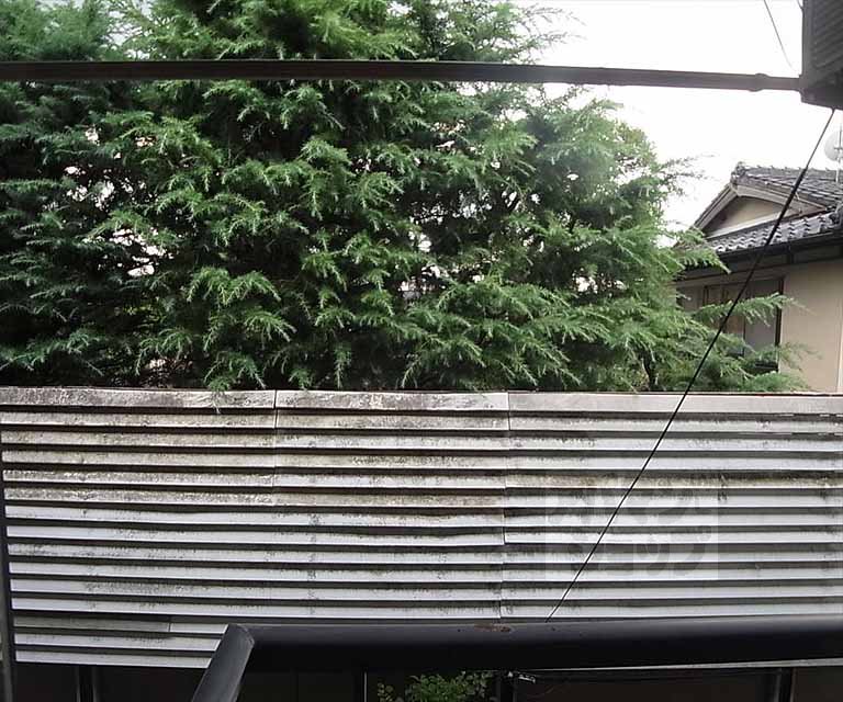 眺望　景色