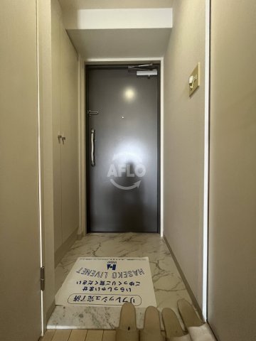 玄関　ウィルテラスなんば南　玄関