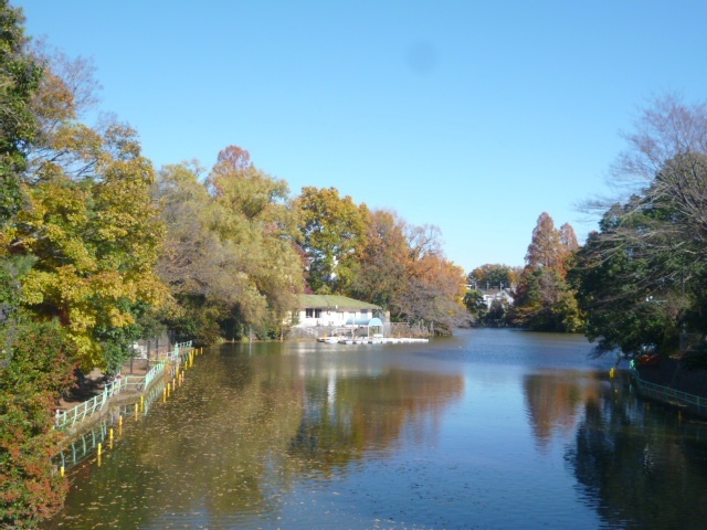 公園　武蔵関公園（公園）まで768m