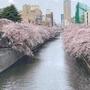 公園　田道広場公園（公園）まで209m