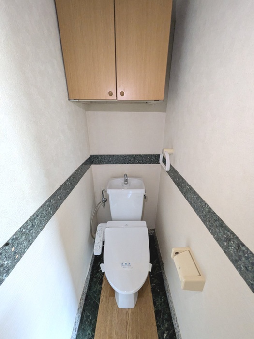 第2T.T.コーポのトイレ写真