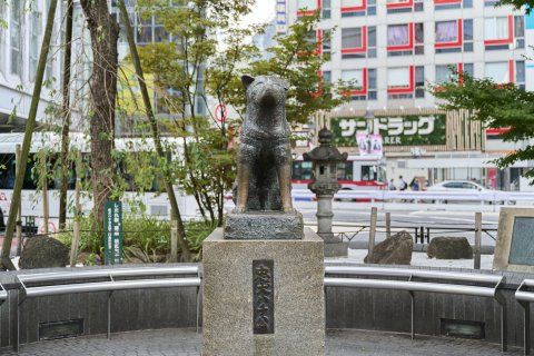 その他　駒場東大前駅(京王 井の頭線)（その他）まで780m