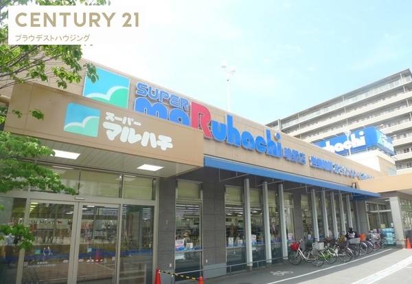 スーパー　スーパーマルハチ鴫野店（スーパー）まで604m