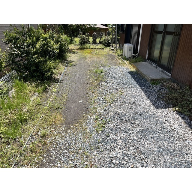 庭