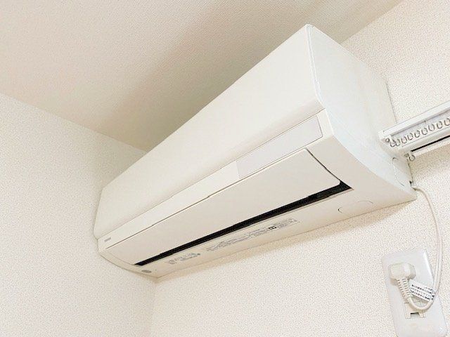 リーヴァ・タカサのその他写真