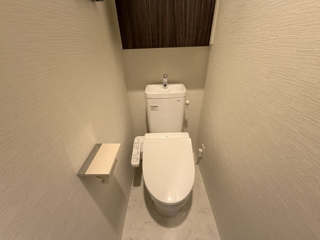 デュオステージ海老名IIのトイレ写真
