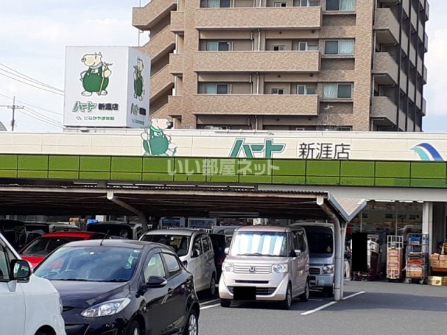 スーパー　なかやま牧場ハート　新涯店（スーパー）まで702m