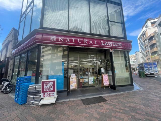 コンビニ　ナチュラルローソン広尾五丁目店（コンビニ）まで124m