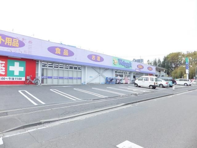 ドラックストア　ウェルパーク（ドラッグストア）まで511m