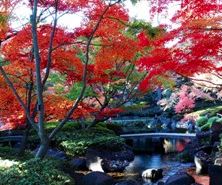 公園　杉並区立大田黒公園（公園）まで278m