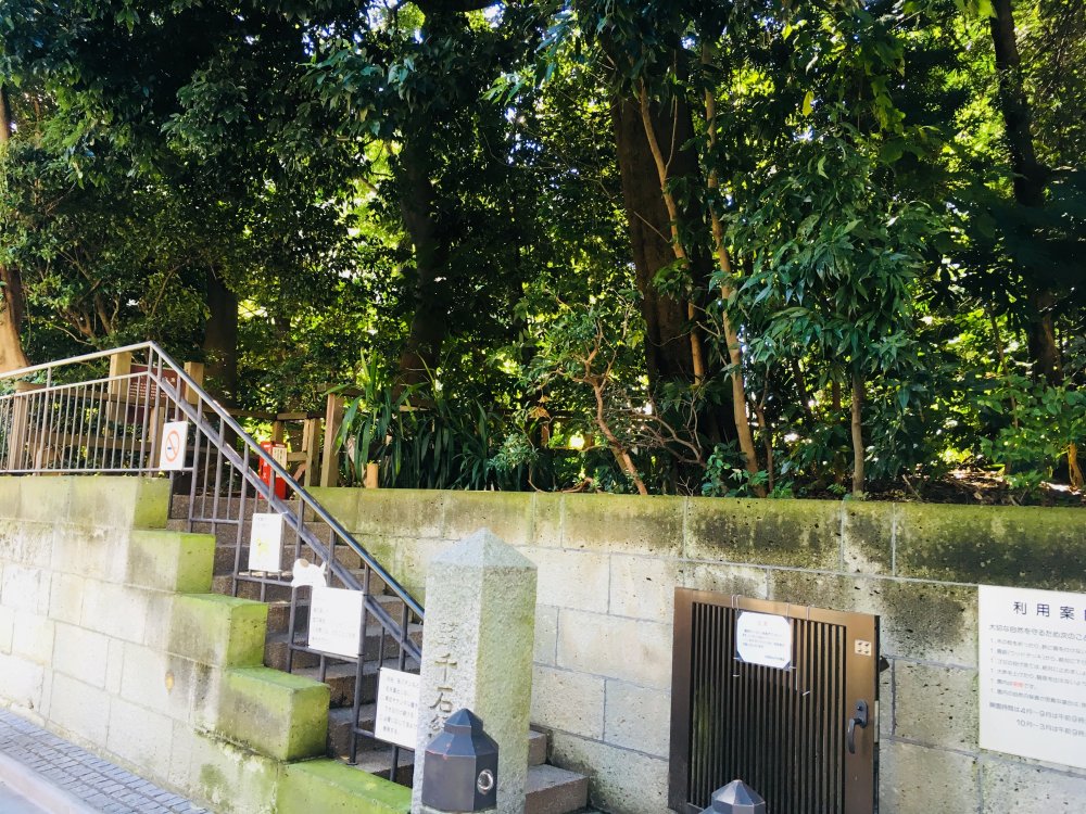 公園　千石緑地（公園）まで464m