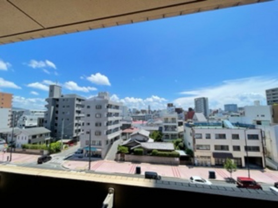 眺望　※別部屋の写真です