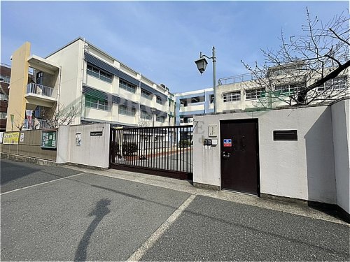 小学校　高井田西小学校（小学校）まで783m