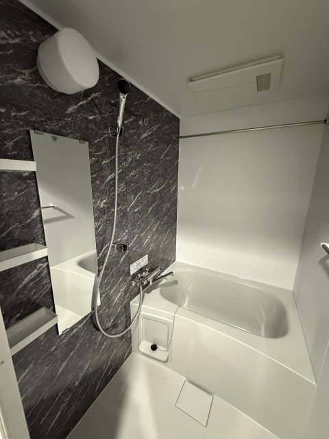 バス・シャワールーム　同物件別号室のものです。