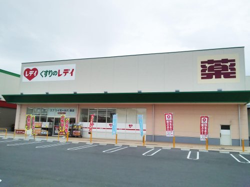 ドラックストア　くすりのレデイ エブリイモール六条店（ドラッグストア）まで528m