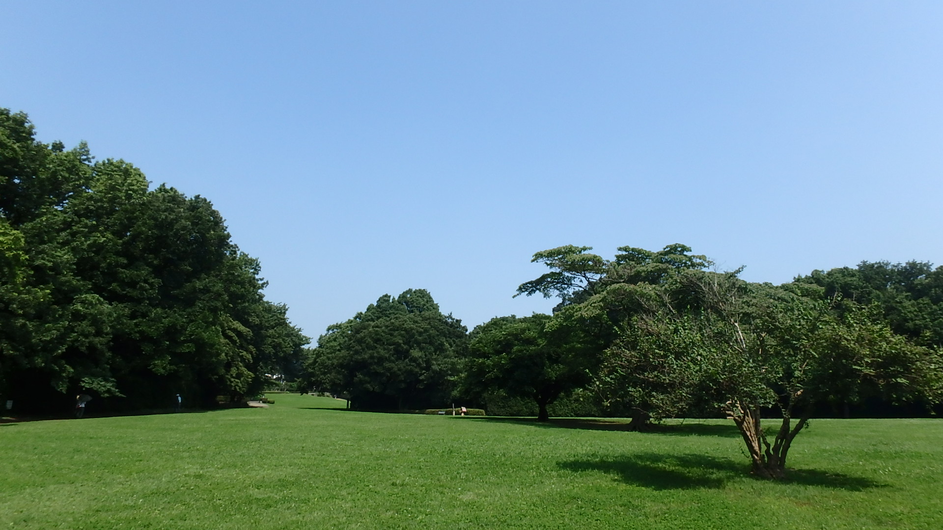 公園　東高根森林公園（公園）まで752m
