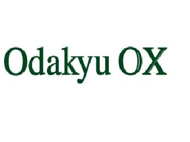 スーパー　OdakyuOX読売ランド店（スーパー）まで1011m