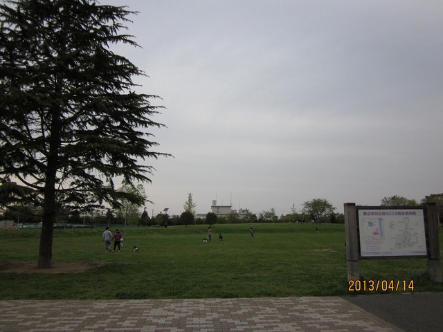 公園　都立中川公園（公園）まで234m